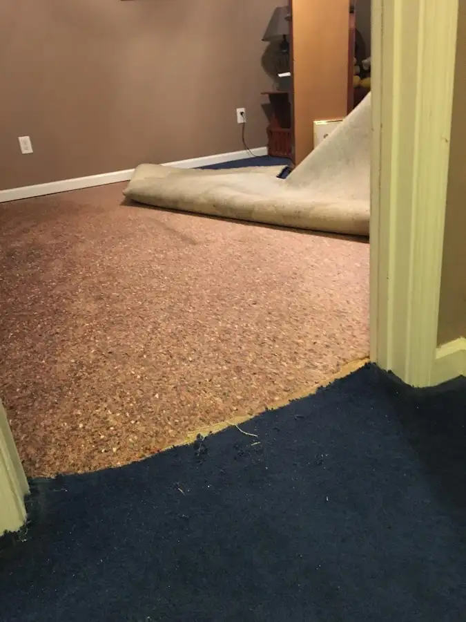 Carpet pad removal revealing water damage during Water Mitigation Services in Rahway
