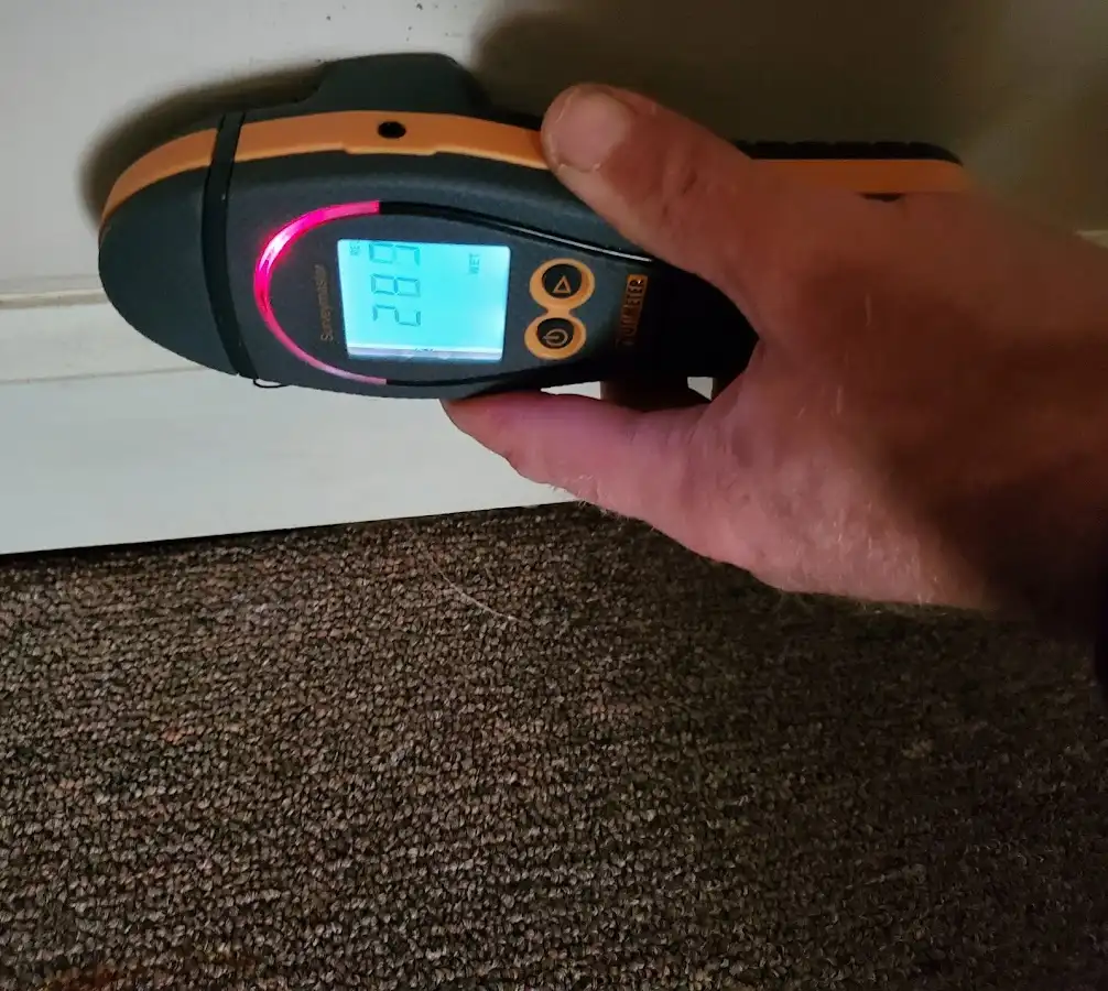 Moisture detection at baseboard during Sewage Cleanup & Sanitation in Rahway
